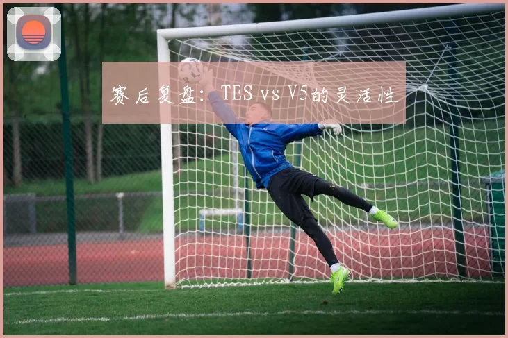 赛后复盘：TES vs V5的灵活性