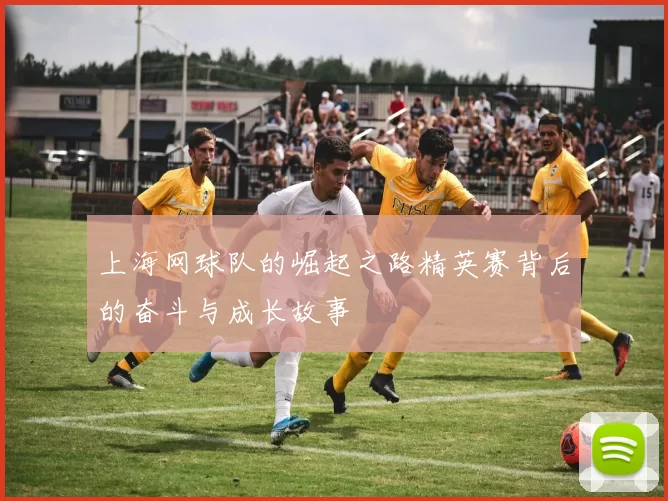 上海网球队的崛起之路精英赛背后的奋斗与成长故事