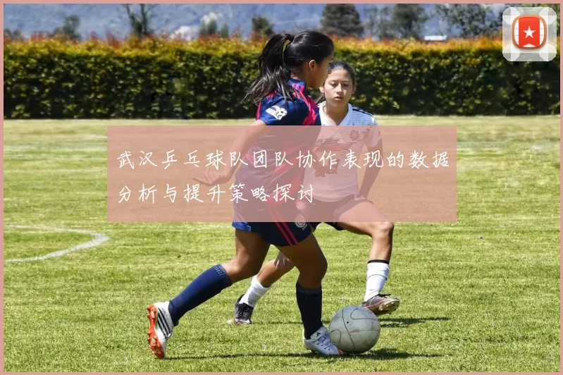 武汉乒乓球队团队协作表现的数据分析与提升策略探讨